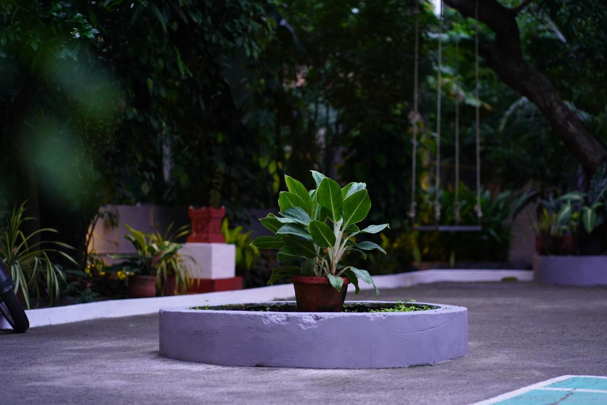 Remasailam Homestay - Thiruvananthapuram , Calm & Blend With Nature Eksteriør bilde